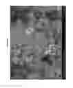 Fig. 09 - Chlorinated lithium manganese oxide spinel cathode material with charge transfer catalyst coating, method of preparing the same, and Li electrochemical cell containing the same