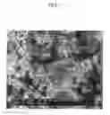 Fig. 08 - Positive electrode for rechargeable lithium battery and rechargeable lithium battery including the same