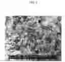 Fig. 09 - Positive electrode for rechargeable lithium battery and rechargeable lithium battery including the same