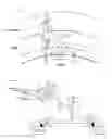 Fig. 01 - Phase sensitive beam tracking