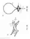 Fig. 06 - Phase sensitive beam tracking