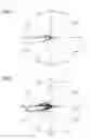Fig. 05 - Base station antenna apparatus for mobile communication system
