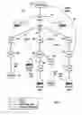 Fig. 02 - Wireless mesh network including resilient backhaul links and WLAN traffic local switching