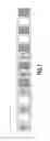 Fig. 08 - Image forming apparatus, image forming method, and storage medium