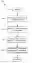 Fig. 01 - Anticipatory video signal reception and processing