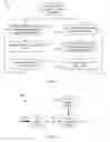 Fig. 03 - Anticipatory video signal reception and processing