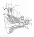 Fig. 02 - Tinnitus masking in hearing prostheses