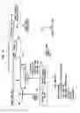 Fig. 08 - Tinnitus masking in hearing prostheses