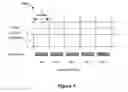 Fig. 02 - Measurement, verification and correction of time alignment of multiple audio channels and associated metadata