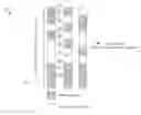 Fig. 01 - Method of enhanced interference measurements for channel state information (CSI) feedback