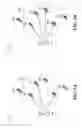 Fig. 06 - Support of transmission mode and impact on PDCCH blind decodes of PTM (point-to-multipoint) transmission