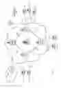 Fig. 07 - Resource allocation in a wireless mesh network environment