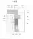 Fig. 03 - Window glass for vehicle
