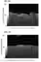 Fig. 09 - Substrate for printed circuit board and method for producing substrate for printed circuit board
