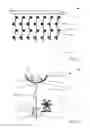 Fig. 02 - Seeding and/or planting system