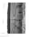 Fig. 02 - Oat variety FL0720