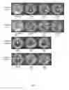 Fig. 08 - QUATERNARY DISINFECTANT COMPOSITION WITH ANIONIC SCALE INHIBITING AGENT