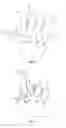 Fig. 02 - Five finger foam adjustable hand