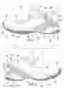 Fig. 02 - Articles of footwear with stabilizing rails