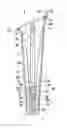 Fig. 01 - Interchangable shoe heel