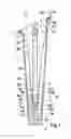 Fig. 02 - Interchangable shoe heel