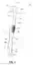 Fig. 02 - Oral care implement having multi-component handle