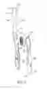 Fig. 06 - Oral care implement having multi-component handle