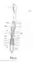Fig. 07 - Oral care implement having multi-component handle