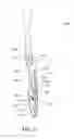 Fig. 08 - Oral care implement having multi-component handle