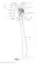 Fig. 02 - Oral care implement