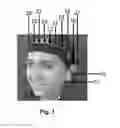 Fig. 02 - Systems and methods for analyzing brain activity and applications thereof