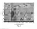 Fig. 07 - Systems and methods for analyzing brain activity and applications thereof