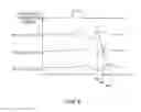 Fig. 07 - Muscle condition measurement sheet