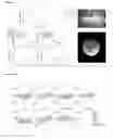 Fig. 08 - Methods and apparatus for the assessment of gingival blood flow