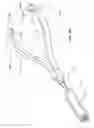 Fig. 09 - Medical grasping device