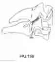 Fig. 131 - Vertebral joint implants and delivery tools