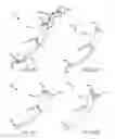 Fig. 35 - Method and apparatus for minimally invasive posterolateral spinal fusion