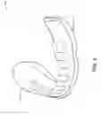 Fig. 07 - HEAT MOLDABLE, MULTILAYER DENTURE