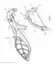 Fig. 04 - REUSABLE FLOSS HANDLE WITH A REPLACEMENT FLOSS MEMBER