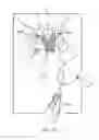 Fig. 47 - Method of treating urinary incontinence by anchoring a support to periosteum tissue