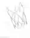 Fig. 09 - Advanced endovascular graft