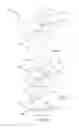 Fig. 02 - Optical implantable member