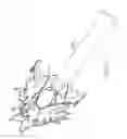 Fig. 28 - Transcatheter mitral valve prosthesis