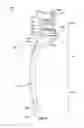 Fig. 07 - SPINAL SUPPORT DEVICE