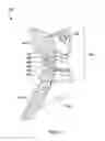 Fig. 12 - SPINAL SUPPORT DEVICE