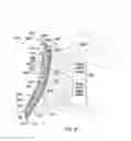 Fig. 28 - SPINAL SUPPORT DEVICE