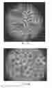 Fig. 13 - Methods and apparatus for therapeutic application of thermal energy including blood viscosity adjustment