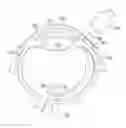 Fig. 01 - Implantable oxygen generator and transporter
