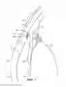 Fig. 02 - Intraocular implants and related kits and methods