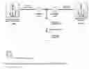 Fig. 06 - ENCAPSULATION OF MESSENGER RNA